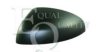 EQUAL QUALITY RD00487 Cover, outside mirror